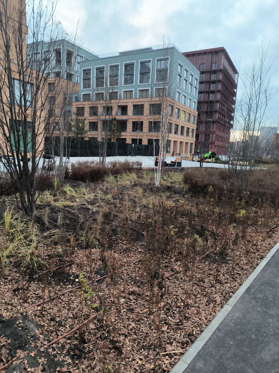 Представители управы Центрального административного округа Тюмени и ООО «Брусника» провели рабочую встречу, посвящённую обмену опытом в сфере благоустройства территорий общего пользования Представители управы Центрального административного округа Тюмени и ООО «Брусника» провели рабочую встречу, посвящённую обмену опытом в сфере благоустройства территорий общего пользования