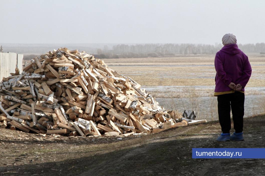 40 лет ожидания: лес рубят – щепки летят в карман