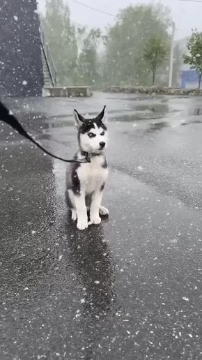 Все тюменцы уже завтра. Напомним, синоптики обещают нам снегопад 1 ноября! Спокойной ночи МегаТюмень