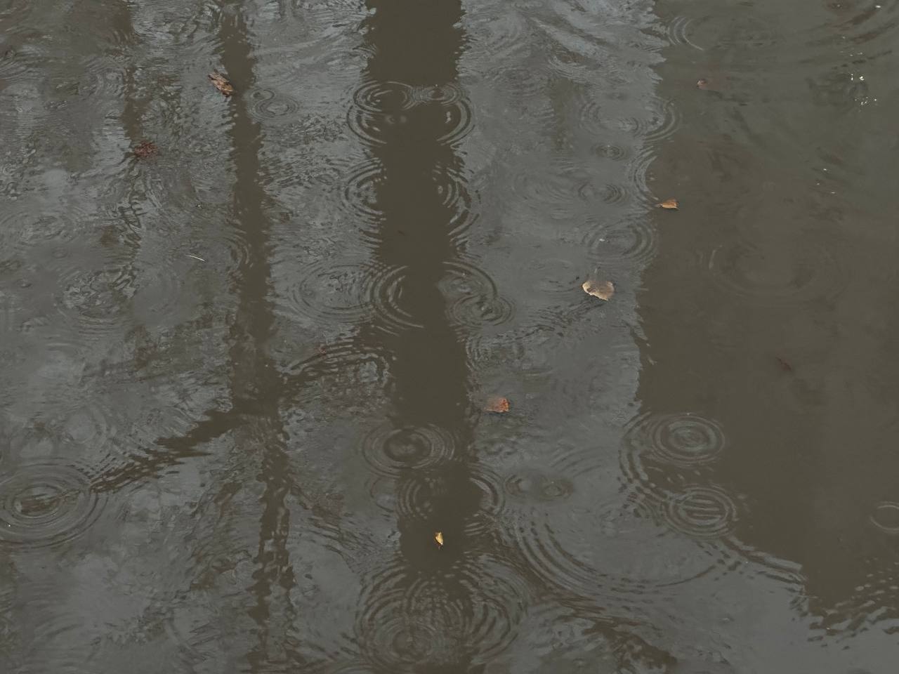 Этюды в серых тонах пятницы Этюды в серых тонах пятницы