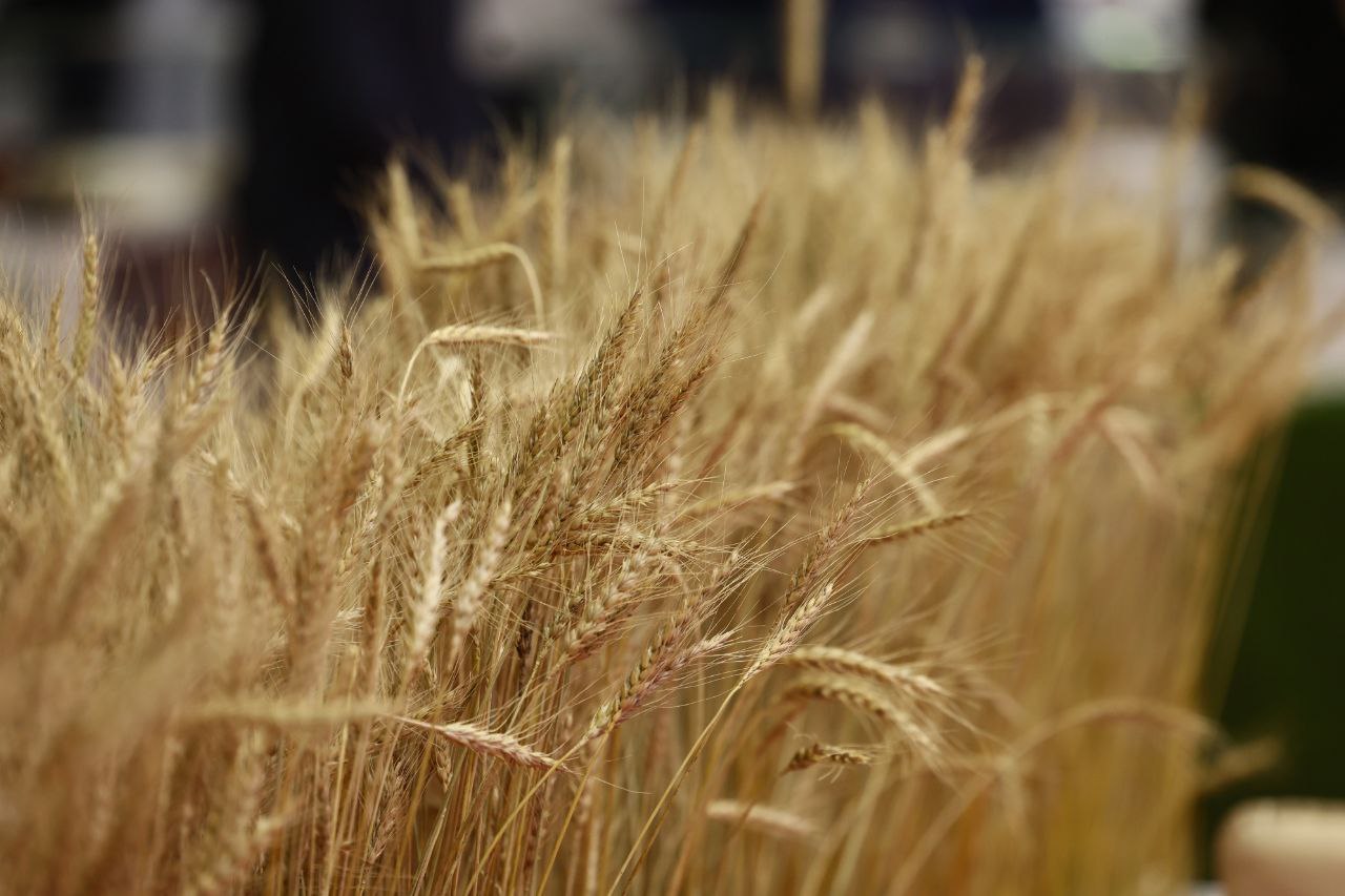 Почти 5 тысяч человек посетили XIII Межрегиональную агропромышленную выставку Уральского федерального округа Почти 5 тысяч человек посетили XIII Межрегиональную агропромышленную выставку Уральского федерального округа