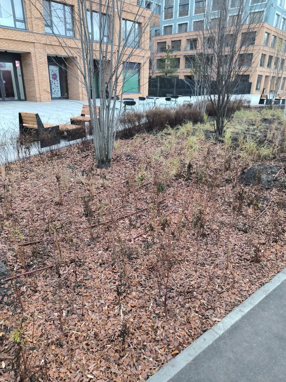 Представители управы Центрального административного округа Тюмени и ООО «Брусника» провели рабочую встречу, посвящённую обмену опытом в сфере благоустройства территорий общего пользования Представители управы Центрального административного округа Тюмени и ООО «Брусника» провели рабочую встречу, посвящённую обмену опытом в сфере благоустройства территорий общего пользования