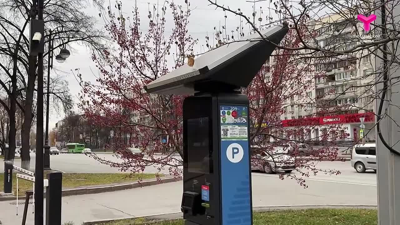 Платные парковки в Тюмени станут бесплатными