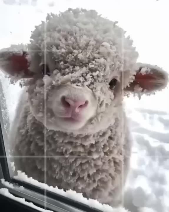 Главное управление МЧС России по Тюменской области информирует