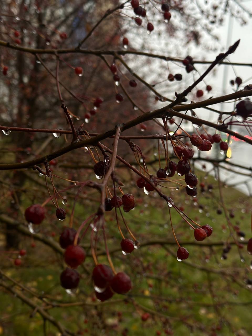 Этюды в серых тонах пятницы