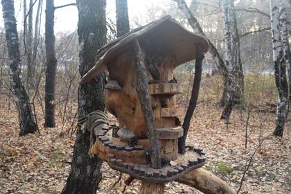 Настоящие дворцы возводит тюменец для белок — некоторые из них вы могли и сами видеть в Экопарке Затюменском Настоящие дворцы возводит тюменец для белок — некоторые из них вы могли и сами видеть в Экопарке Затюменском