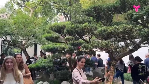 Тюменский филармонический оркестр прямо сейчас в Китае