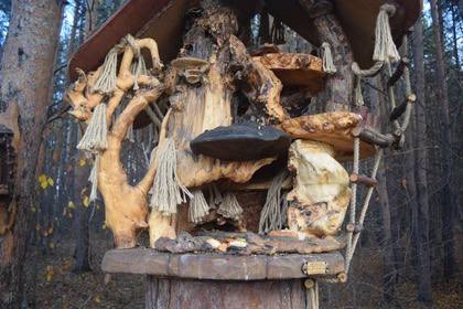 Настоящие дворцы возводит тюменец для белок — некоторые из них вы могли и сами видеть в Экопарке Затюменском Настоящие дворцы возводит тюменец для белок — некоторые из них вы могли и сами видеть в Экопарке Затюменском