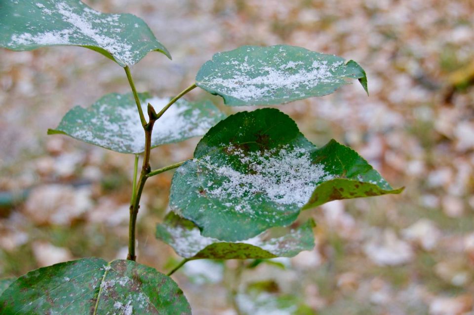 Проведем проверку вашей готовности к зиме?