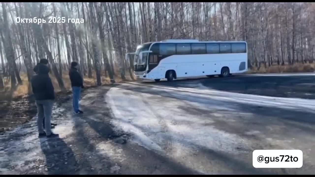 Сегодня в маршруте 511-го рейсового автобуса появился новый остановочный пункт - село Беркут