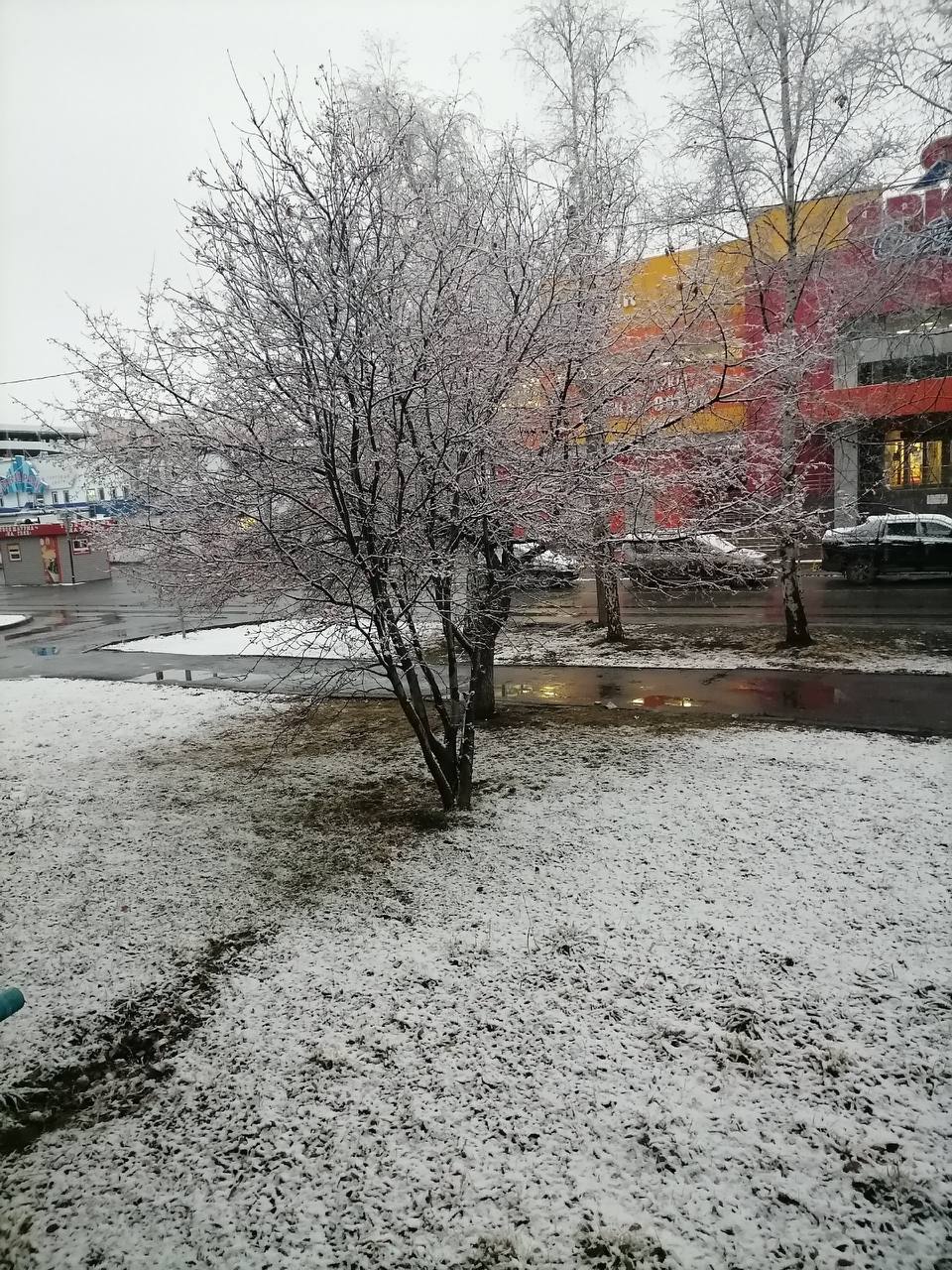 Вы только посмотрите какая красота Вы только посмотрите какая красота