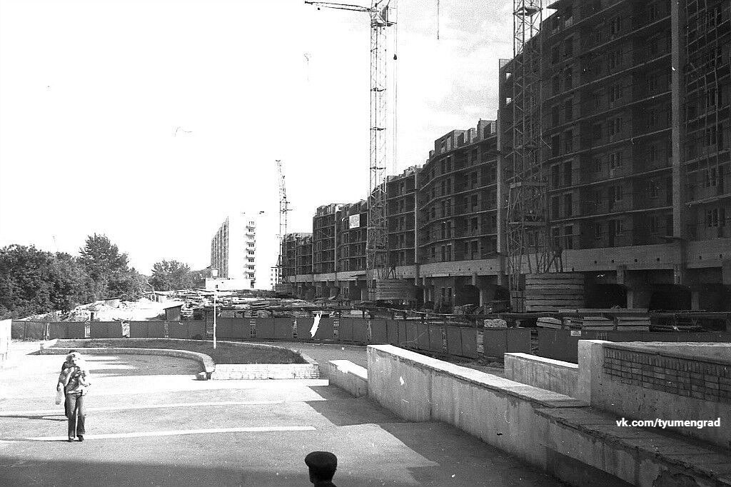 А вы знали историю тюменского «муравейника»? А вы знали историю тюменского «муравейника»?