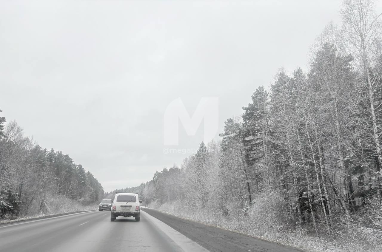 Снежная сказка по трассе из Тюмени в Курган Снежная сказка по трассе из Тюмени в Курган