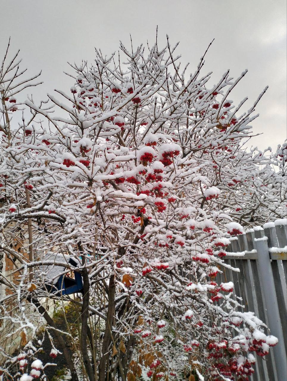 Вы только посмотрите какая красота Вы только посмотрите какая красота
