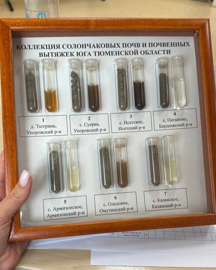 ТЭО выступил партнером научного форума «Шаг в будущее», собравшего более 270 молодых исследователей из 25 муниципалитетов Тюменской области ТЭО выступил партнером научного форума «Шаг в будущее», собравшего более 270 молодых исследователей из 25 муниципалитетов Тюменской области