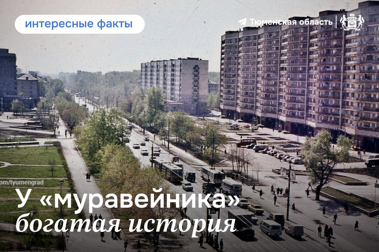 А вы знали историю тюменского «муравейника»?