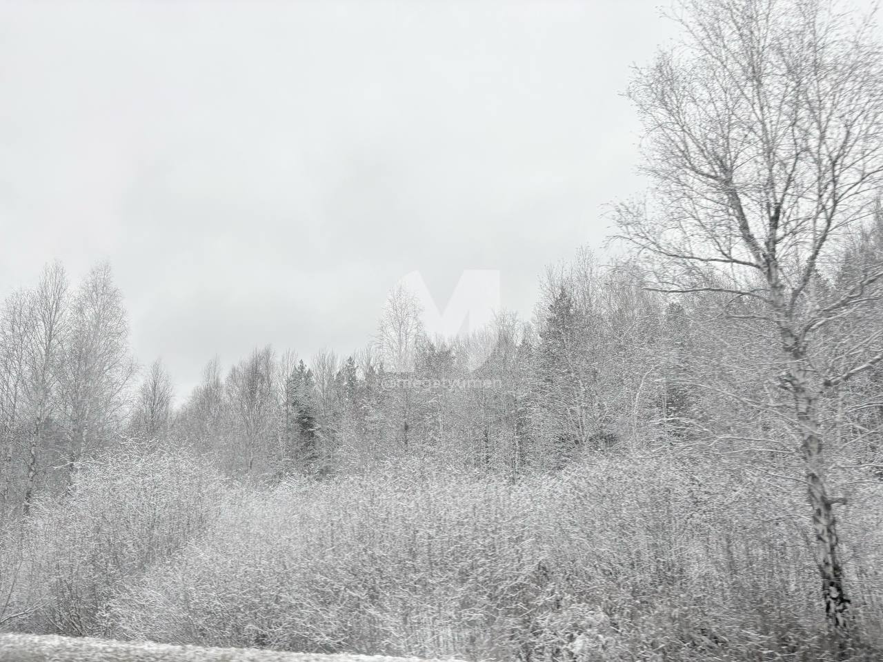 Снежная сказка по трассе из Тюмени в Курган