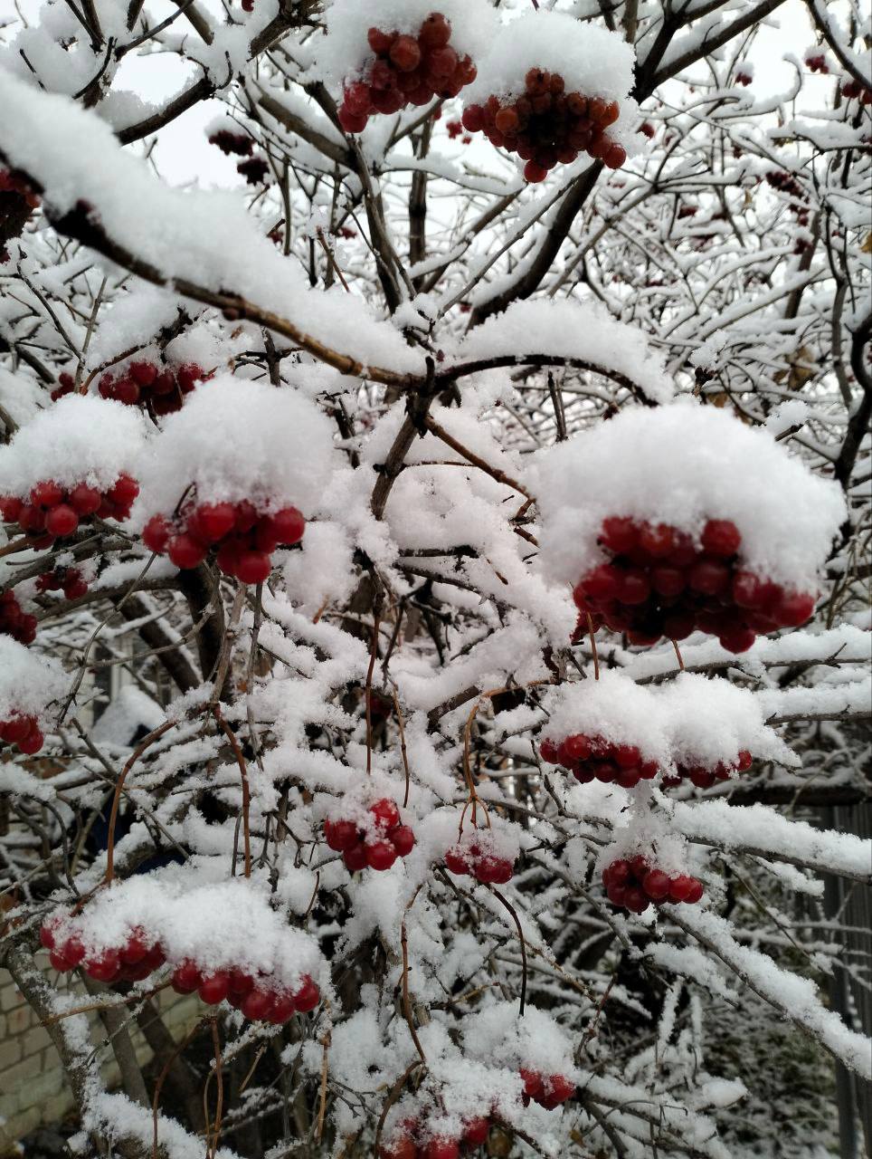 Вы только посмотрите какая красота Вы только посмотрите какая красота