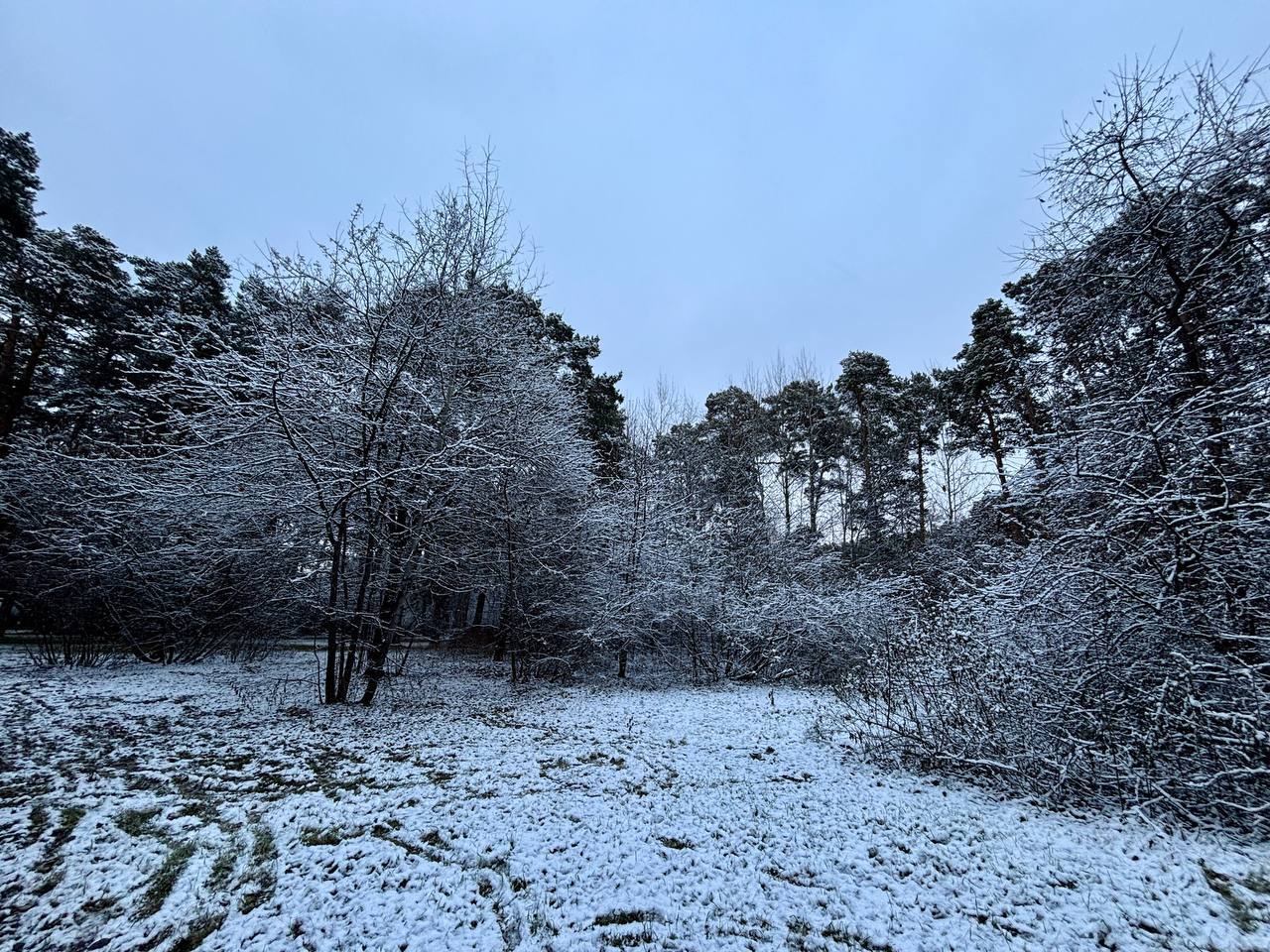 Под снежным покрывалом застыл притихший лес и ярко там белеет под куполом небес Под снежным покрывалом застыл притихший лес и ярко там белеет под куполом небес