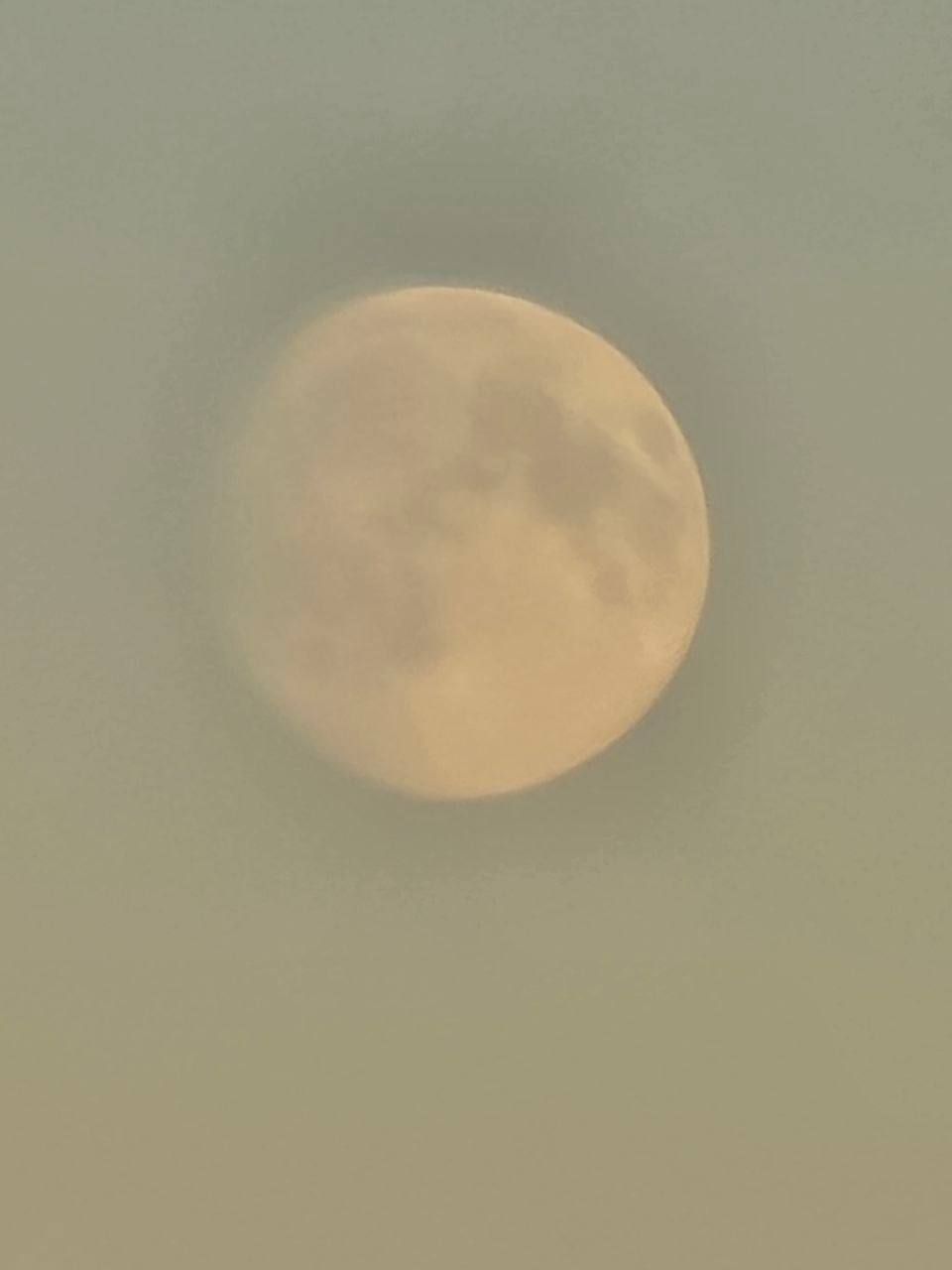 Над Тобольским трактом уже виднеется Бобровая Луна! Над Тобольским трактом уже виднеется Бобровая Луна!