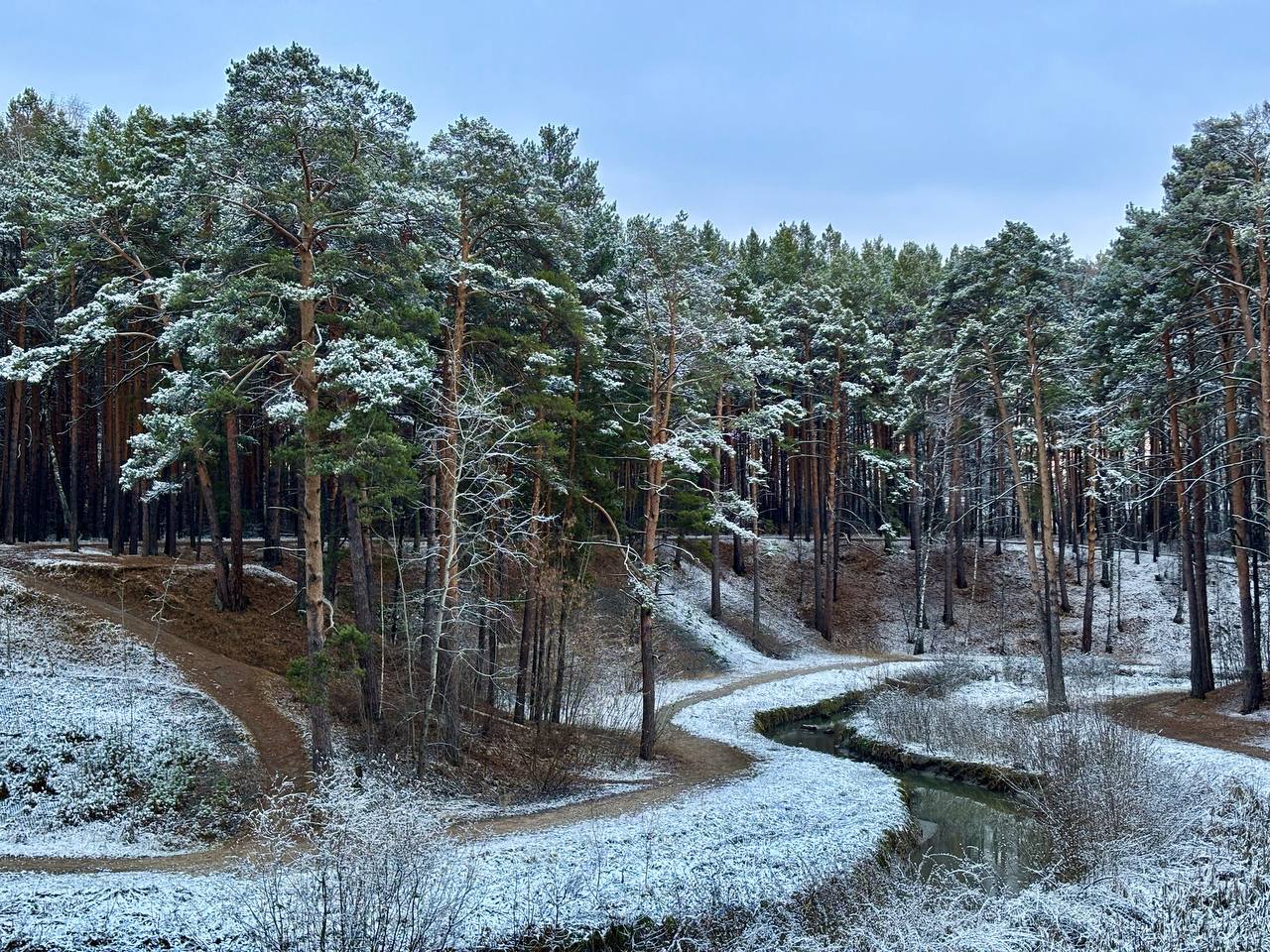 Под снежным покрывалом застыл притихший лес и ярко там белеет под куполом небес