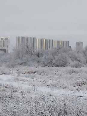 Доброе утречко. Такая снежная красота была в районе ДОКа 2 ноября МегаТюмень