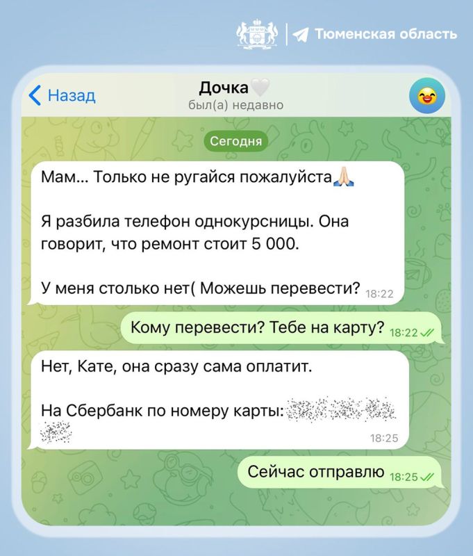 Мошенники в Тюменской области: как не стать их жертвой?