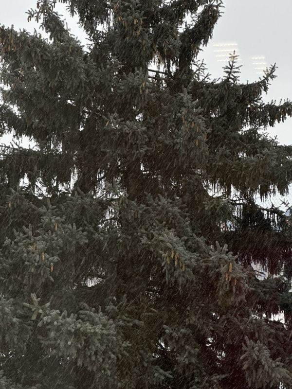 Что у нас по снегу? Когда пойдет… Что у нас по снегу? Когда пойдет…