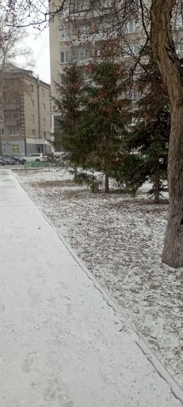 Ямки в сквере Георгия Дьяконова-Дьяченкова: А или Б? Ямки в сквере Георгия Дьяконова-Дьяченкова: А или Б?