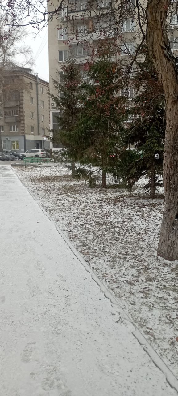 Ямки в сквере Георгия Дьяконова-Дьяченкова: А или Б? Ямки в сквере Георгия Дьяконова-Дьяченкова: А или Б?