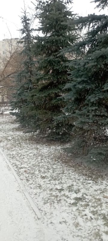 Ямки в сквере Георгия Дьяконова-Дьяченкова: А или Б? Ямки в сквере Георгия Дьяконова-Дьяченкова: А или Б?