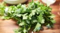 Если осталась лишняя петрушка: вмиг превратите ее в ресторанную заправку