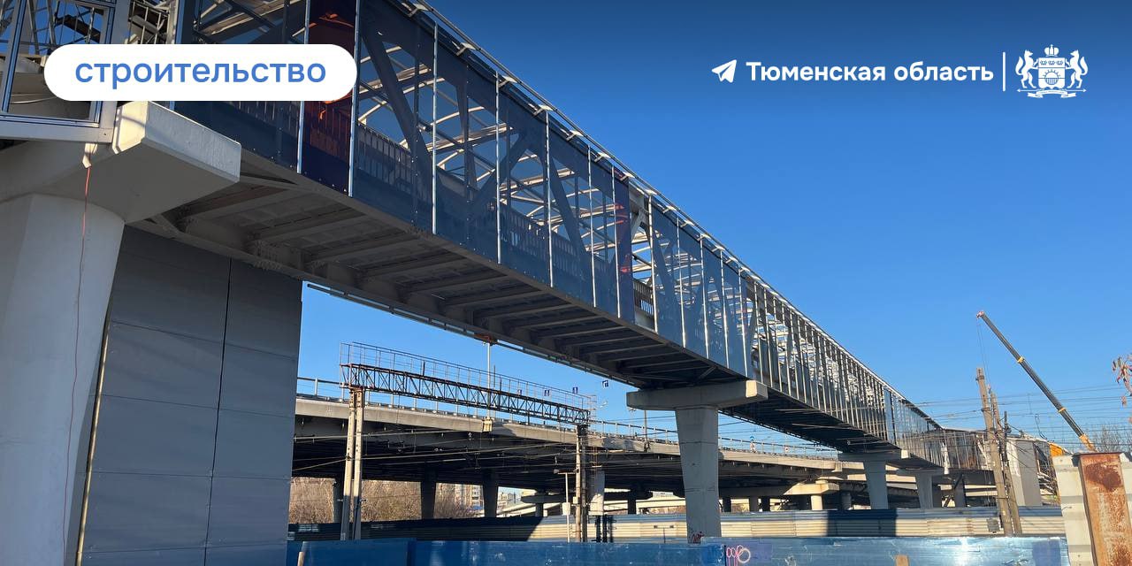 Надземный переход на Мориса Тореза скоро обновят