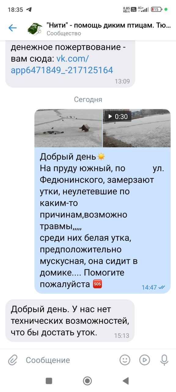 На пруду Южный замерзают утки, не улетевшие по какой-то причине, возможно травмы