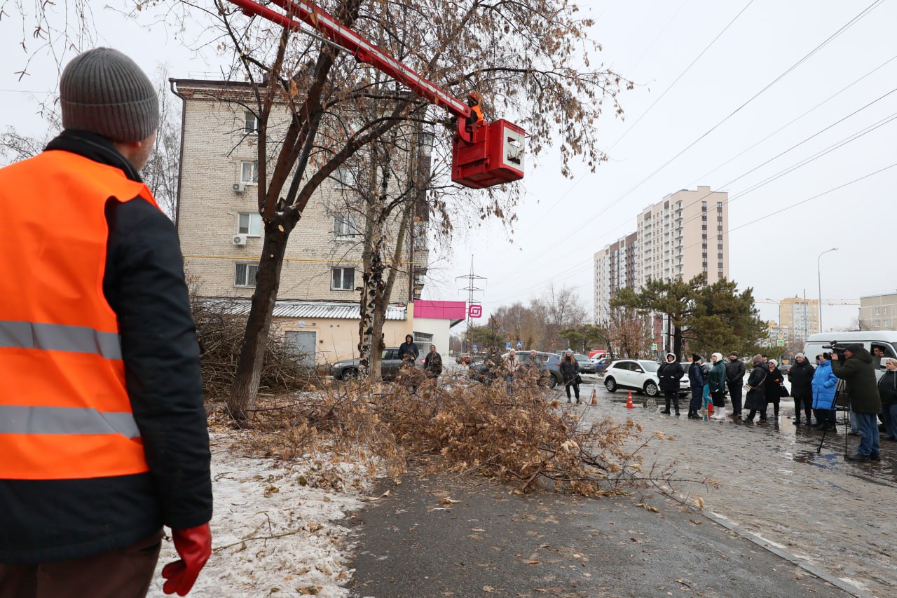 Стрижка только началась. Точнее, продолжилась после перерыва на тёплые дни Стрижка только началась. Точнее, продолжилась после перерыва на тёплые дни