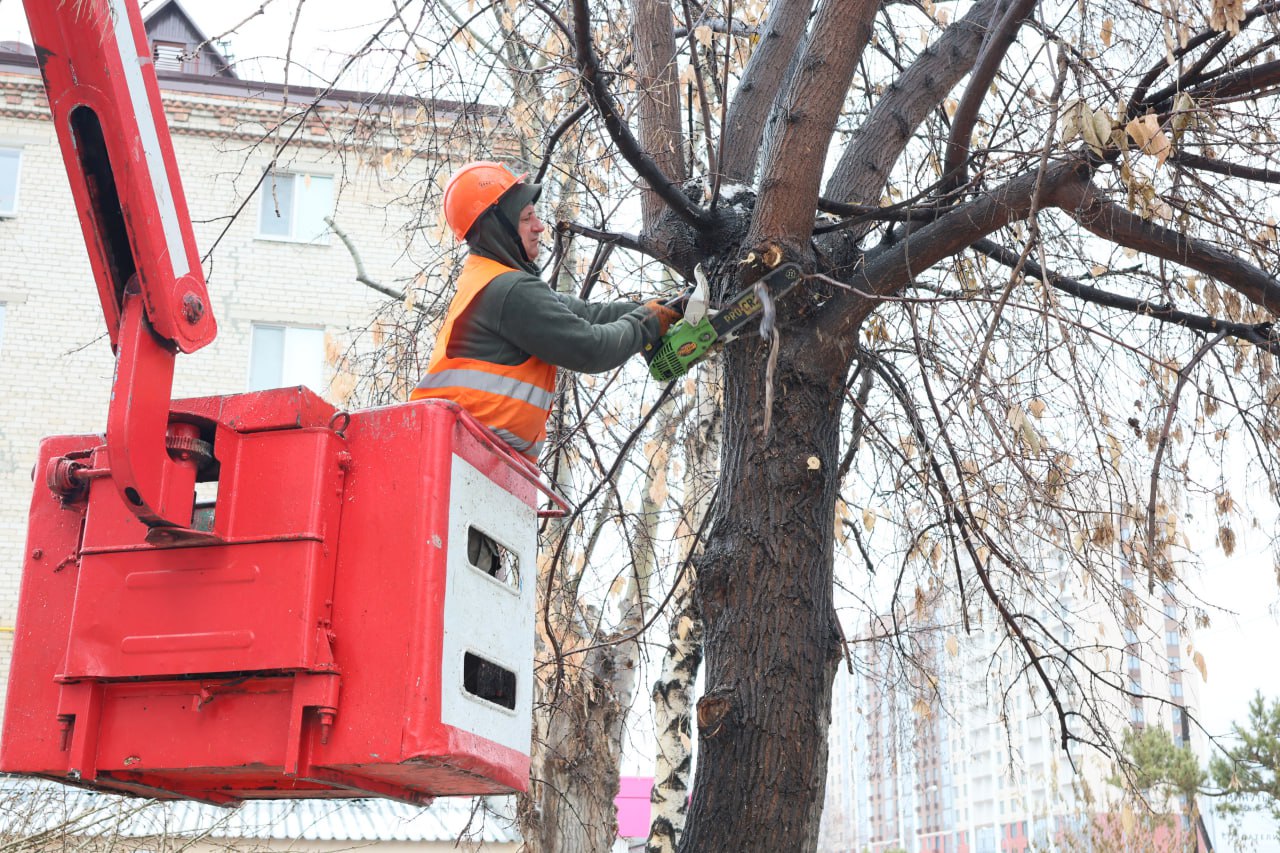 Стрижка только началась. Точнее, продолжилась после перерыва на тёплые дни Стрижка только началась. Точнее, продолжилась после перерыва на тёплые дни