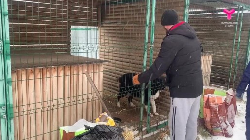 Зима близко