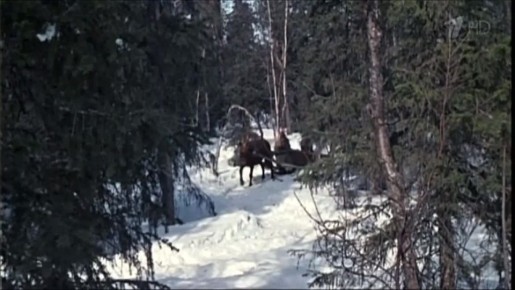 Прогноз погоды в Тюменской области на ближайшие дни