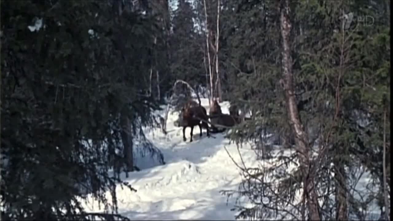 Прогноз погоды в Тюменской области на ближайшие дни