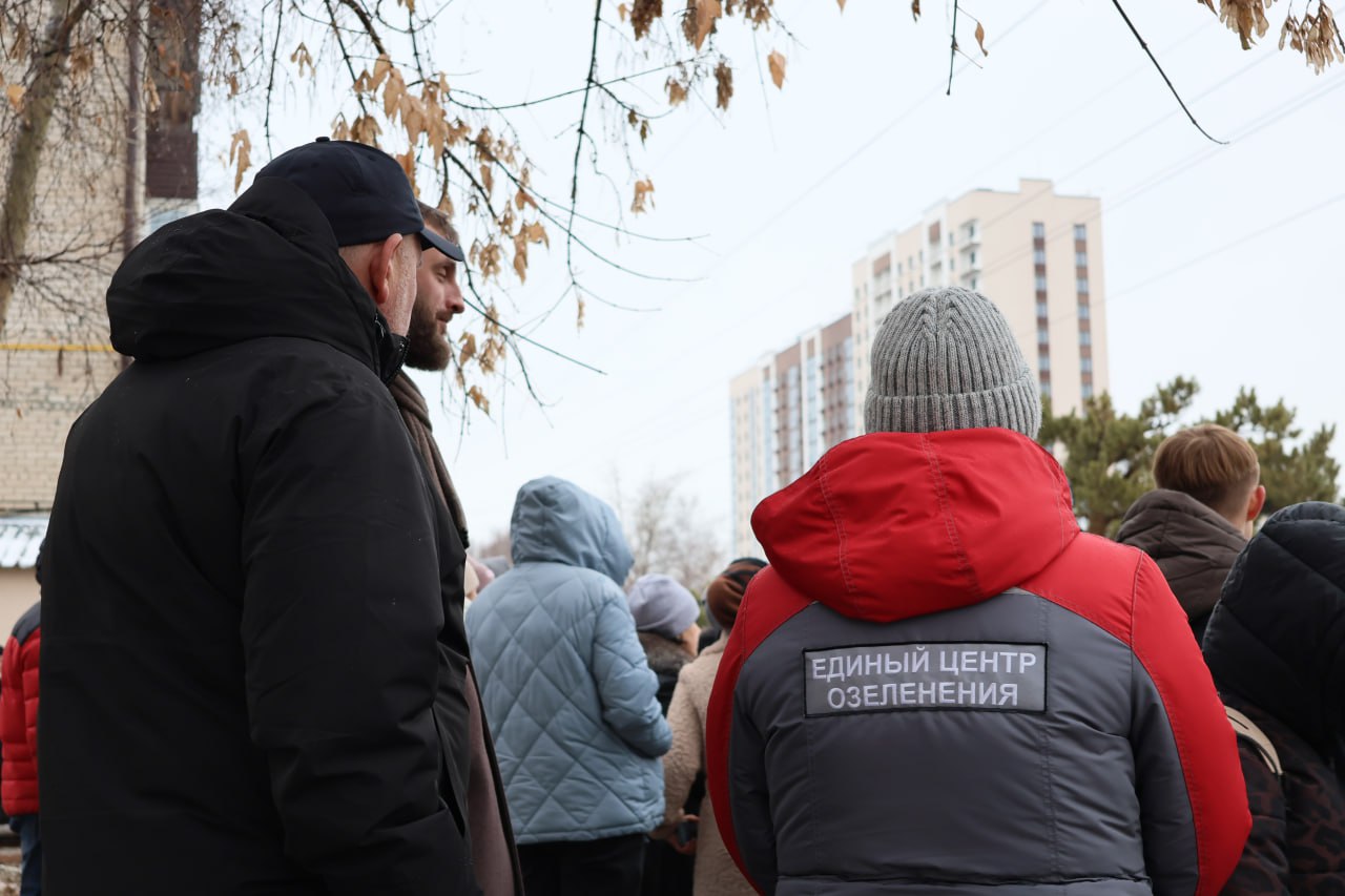 Стрижка только началась. Точнее, продолжилась после перерыва на тёплые дни Стрижка только началась. Точнее, продолжилась после перерыва на тёплые дни
