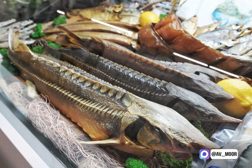  40     34  !          2025,    XIII      