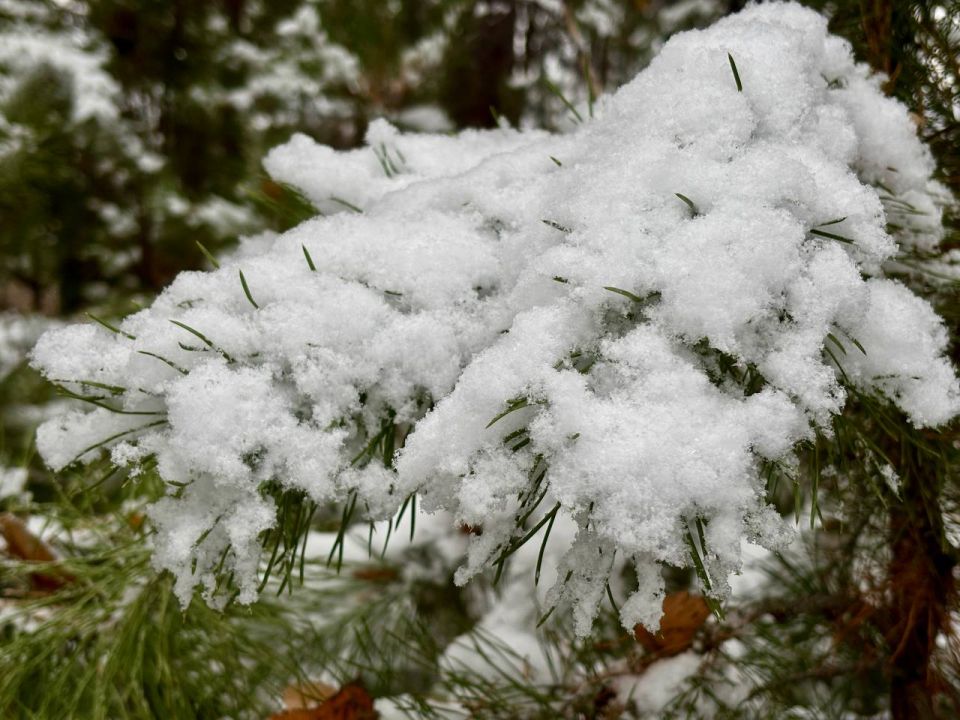 Ноябрь – всё-таки осенний или зимний месяц, как считаете? Ноябрь – всё-таки осенний или зимний месяц, как считаете?