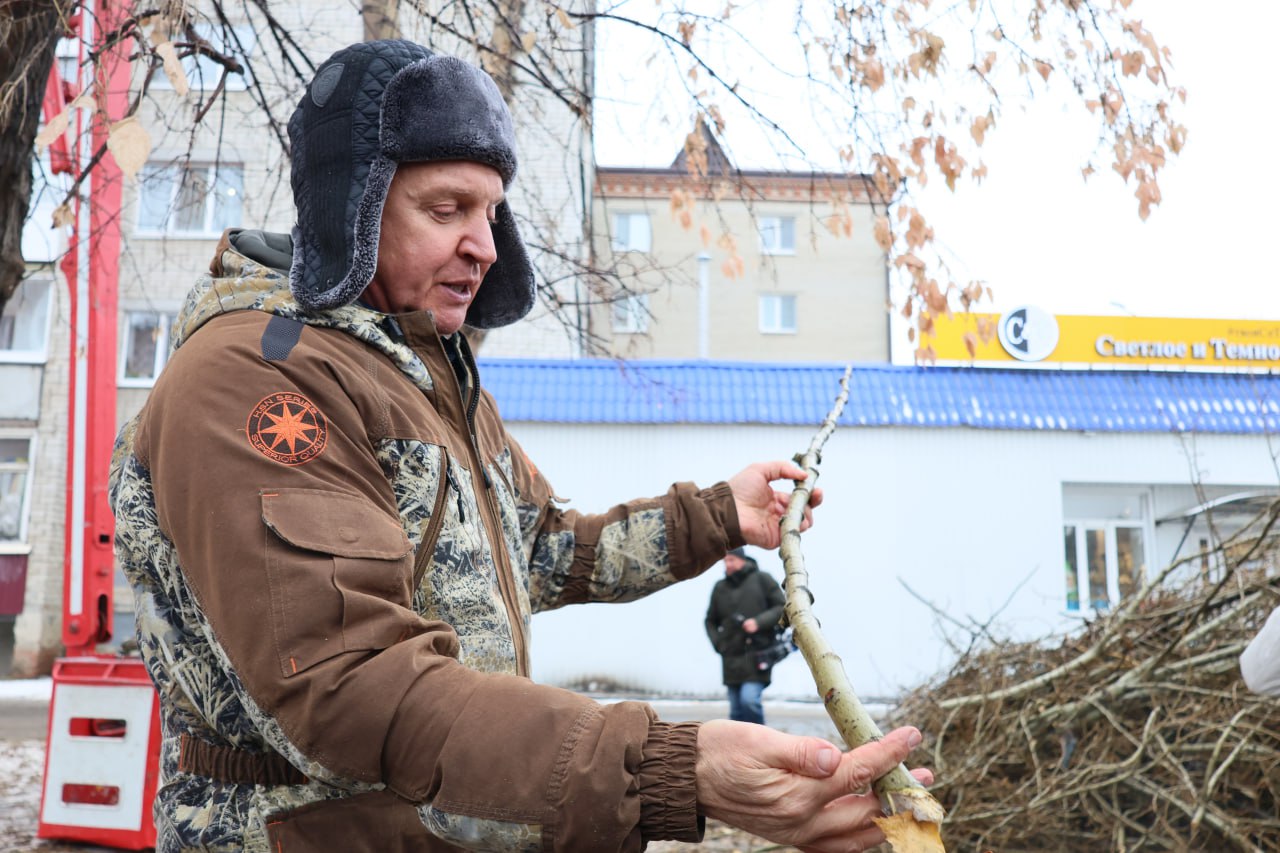 Стрижка только началась. Точнее, продолжилась после перерыва на тёплые дни Стрижка только началась. Точнее, продолжилась после перерыва на тёплые дни