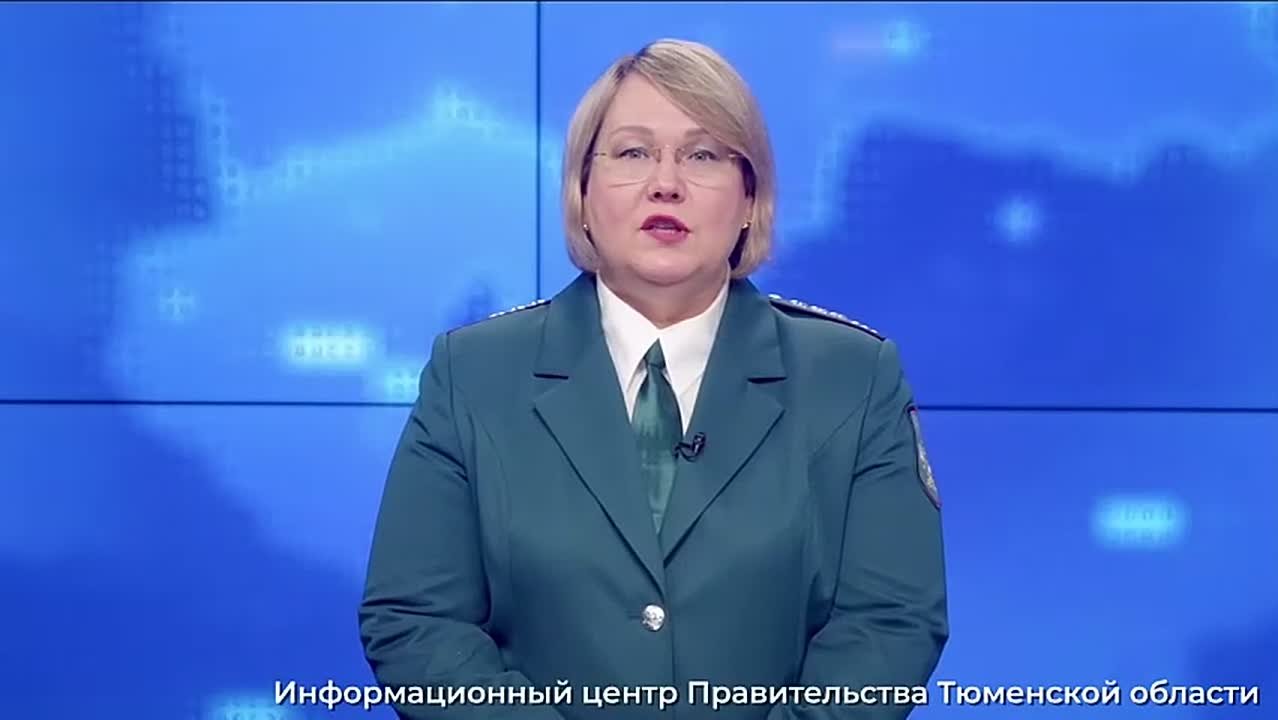 Тюменцам направлено 750 000 уведомлений для уплаты имущественных налогов за 2024 год