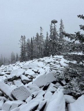 Только посмотрите какой красотой делятся тюменцы из Челябинской области