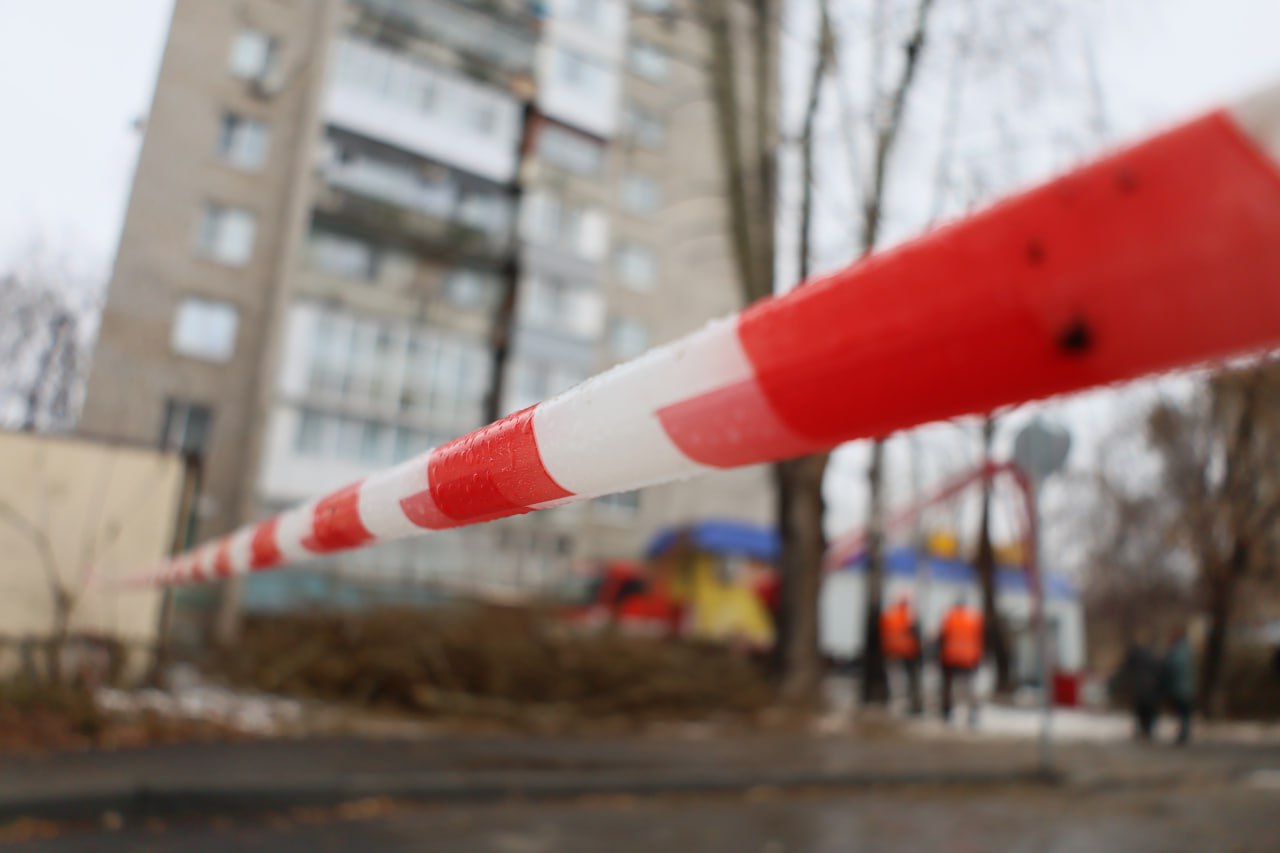 Стрижка только началась. Точнее, продолжилась после перерыва на тёплые дни Стрижка только началась. Точнее, продолжилась после перерыва на тёплые дни