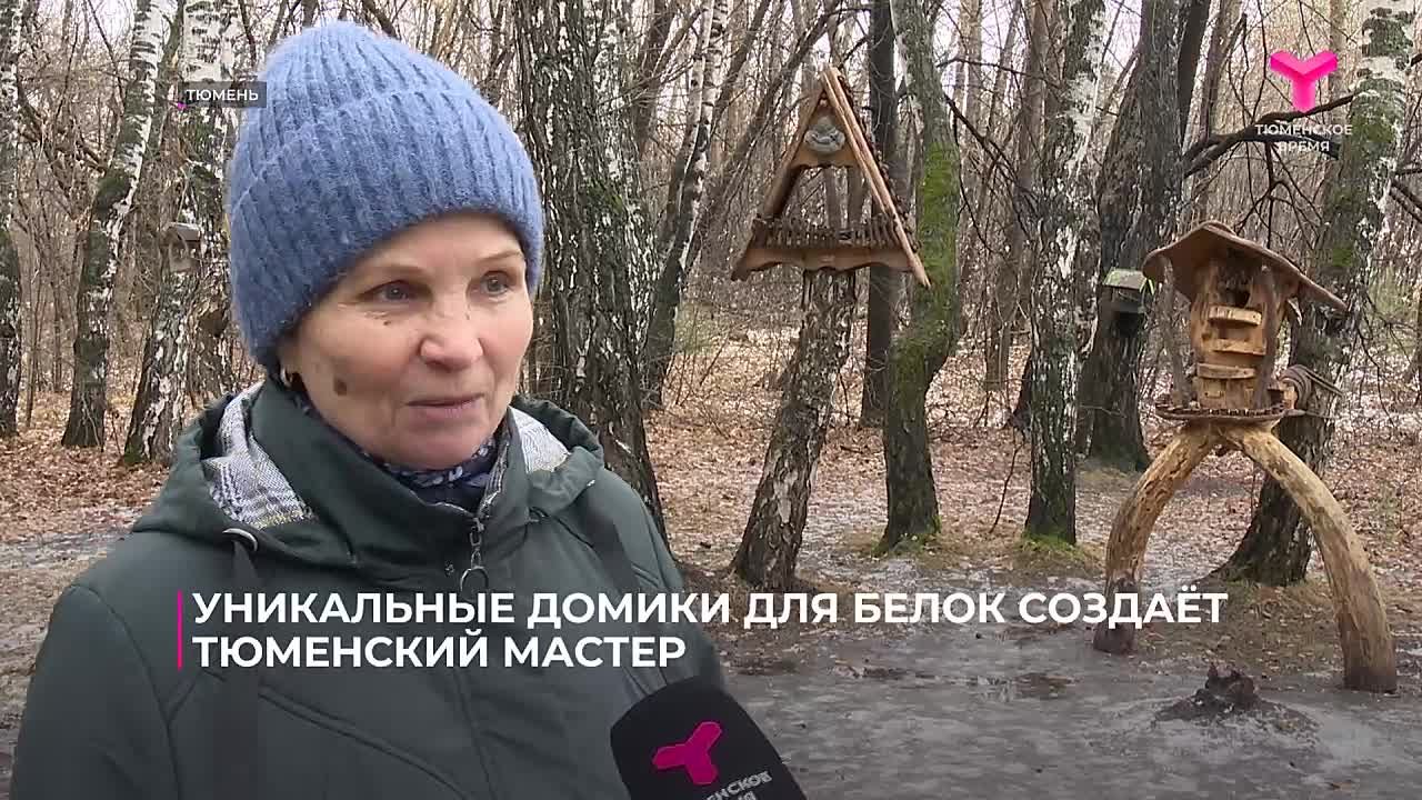 На счету тюменца Владимира Сорокина больше 100 скворечников ручной работы