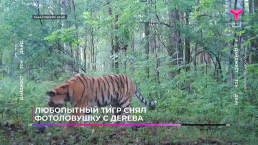 О заметных событиях дня в России и мире — в нашем дайджесте