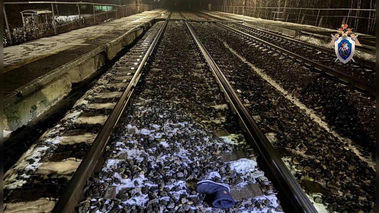 Одна женщина погибла, вторая серьезно пострадала, попав под грузовой поезд в Тюменской области