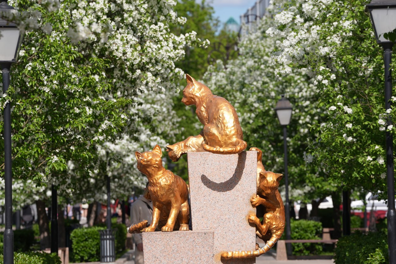 Максим Афанасьев: Дорогие сибиряки!. От всего сердца поздравляем вас с Днём Сибири — праздником, который напоминает о величии и могуществе нашего региона, о его богатой истории и неиссякаемом потенциале живущих здесь людей!... Максим Афанасьев: Дорогие сибиряки!. От всего сердца поздравляем вас с Днём Сибири — праздником, который напоминает о величии и могуществе нашего региона, о его богатой истории и неиссякаемом потенциале живущих здесь людей!...